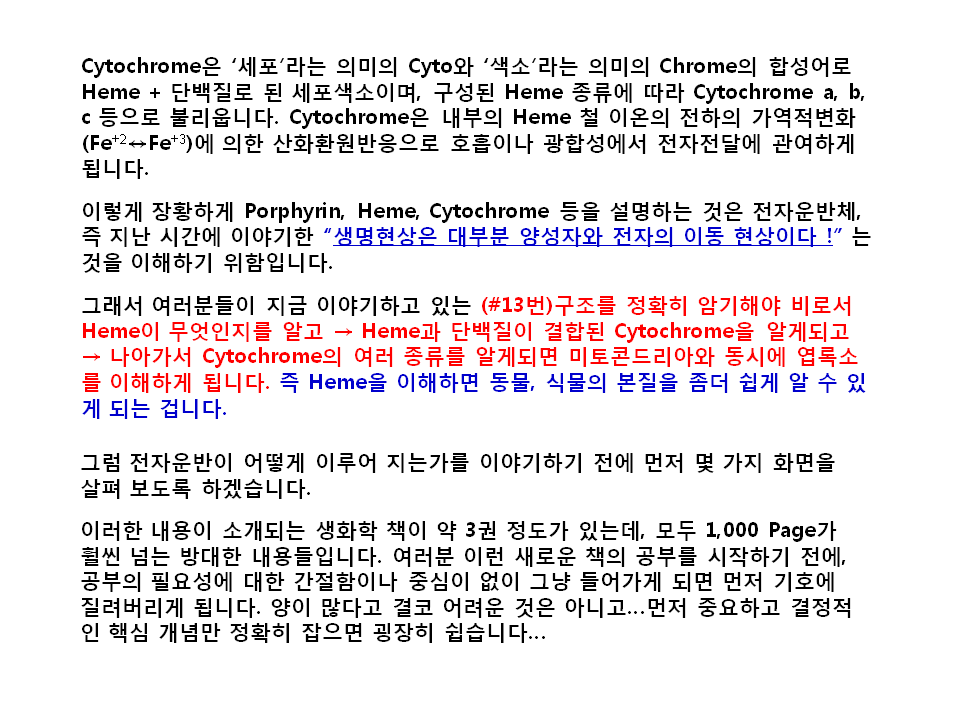슬라이드9.GIF