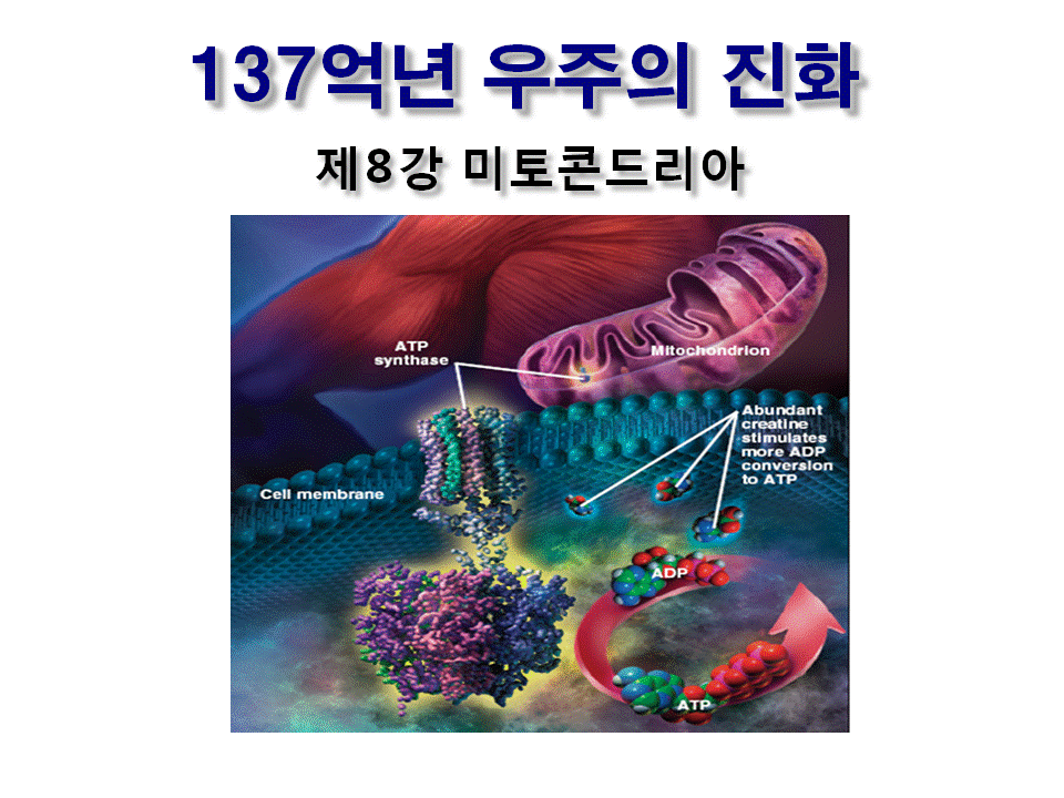 슬라이드1.GIF