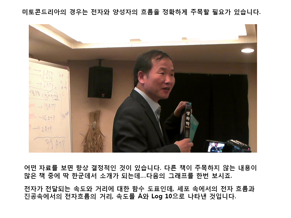 슬라이드10.GIF