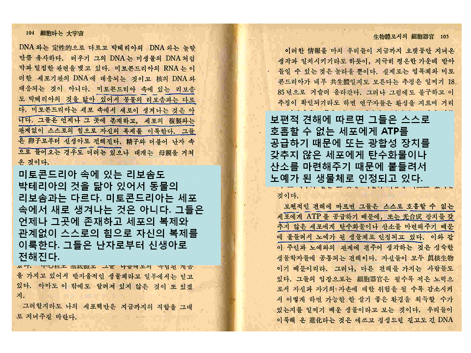 슬라이드20.GIF