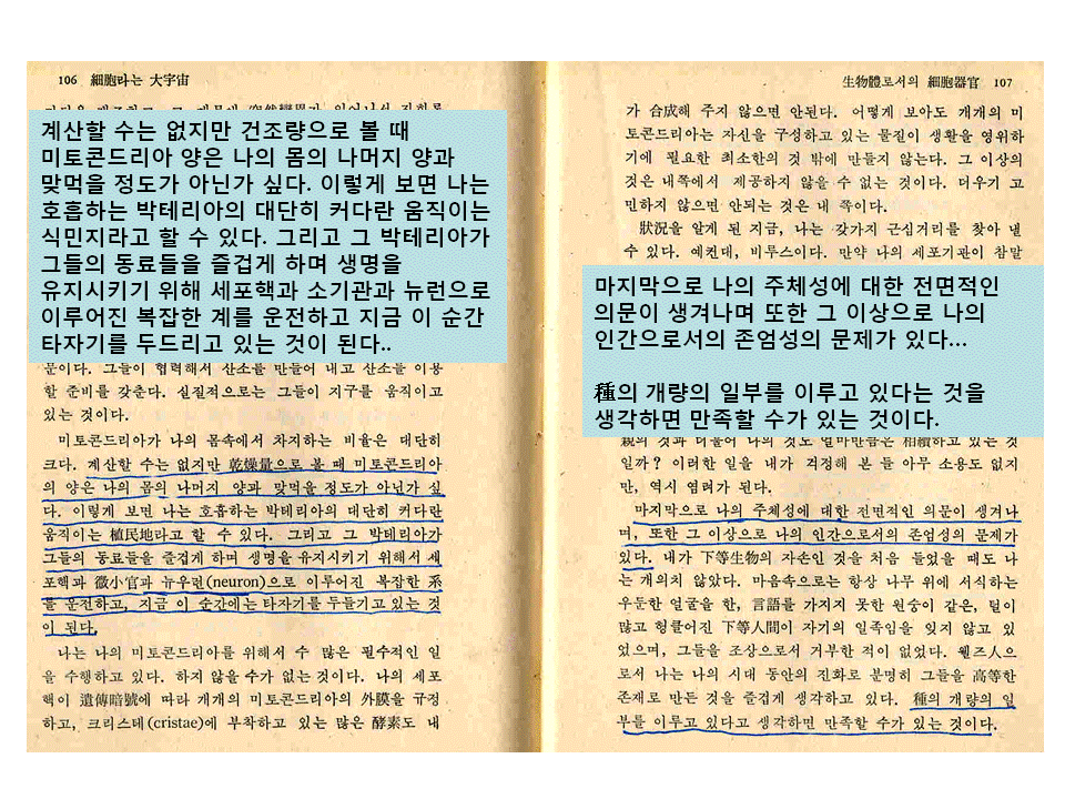 슬라이드21.GIF
