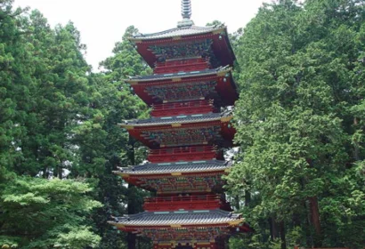 동조궁