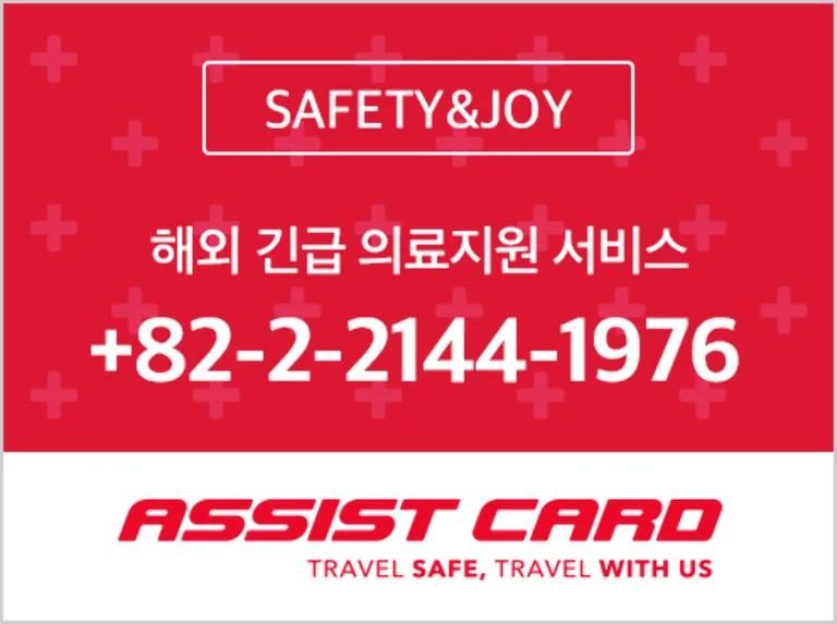 해외 긴급 지원 서비스